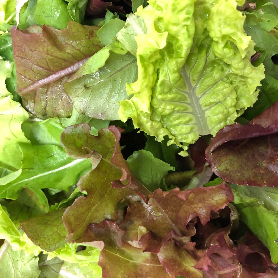 a variety of lettuce